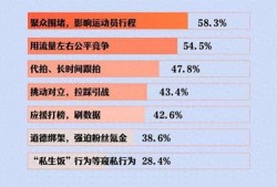 体育圈饭圈化,粉丝经济下的新现象解析